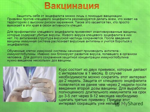 vaktsinatsiya_entsefalit-500x375.jpg