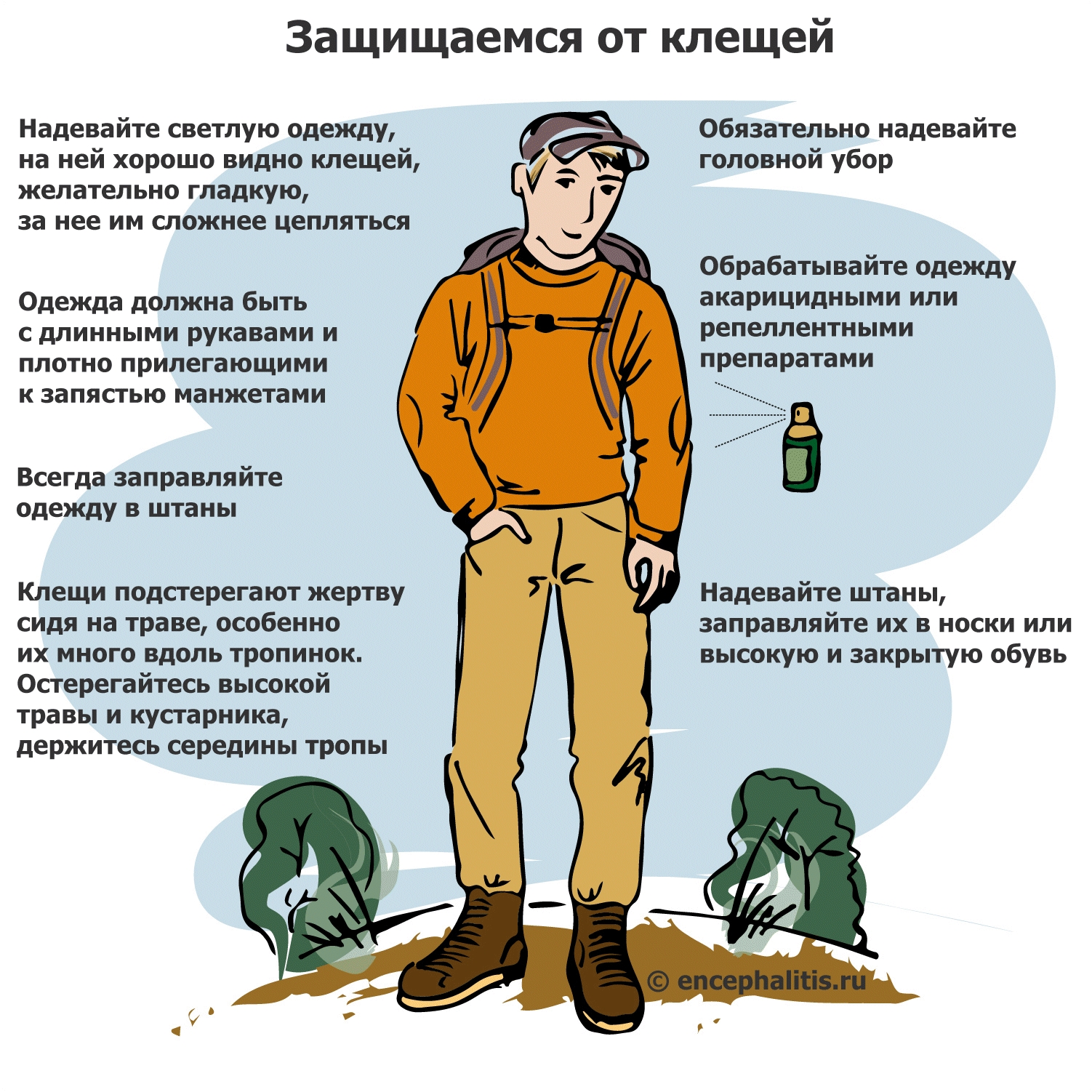 kleshch2.jpg